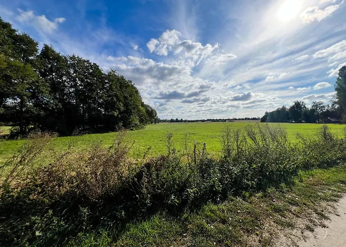 Buschwiesen Ausguck *